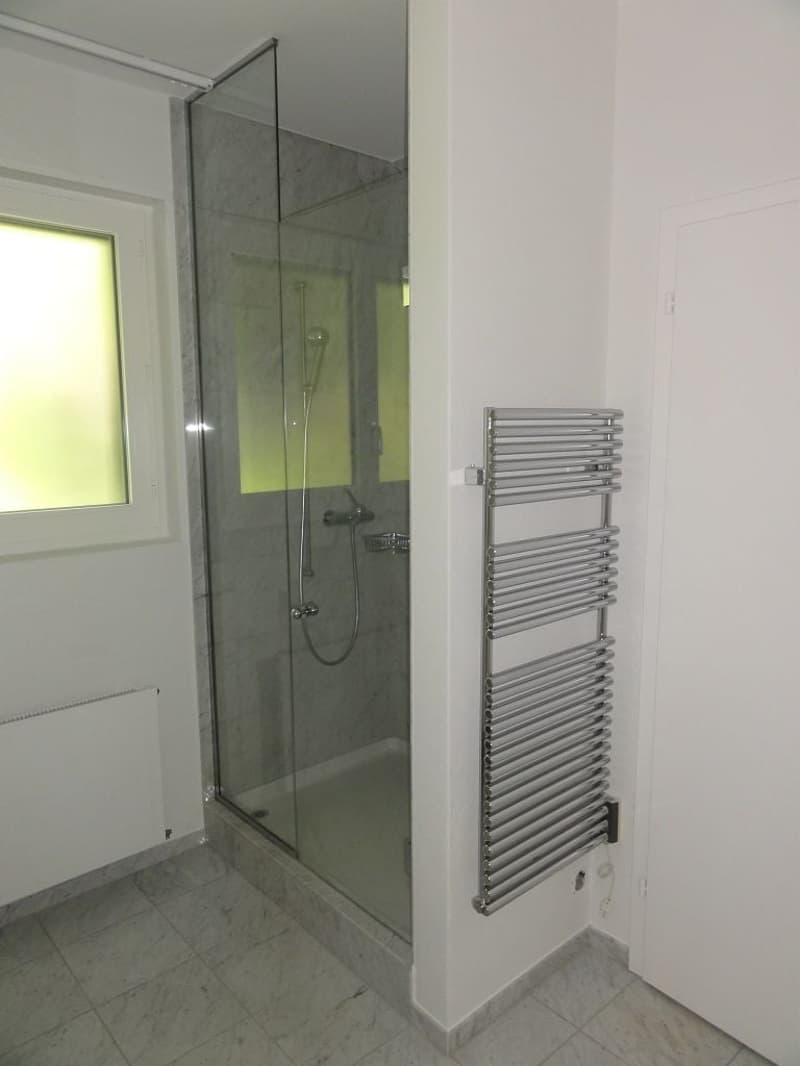 Spacious 7-room apartment with pool and panoramic view in Muri b. Bern (10)