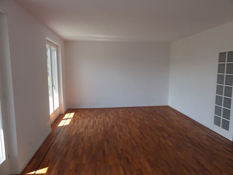 Spacious 7-room apartment with pool and panoramic view in Muri b. Bern (6)