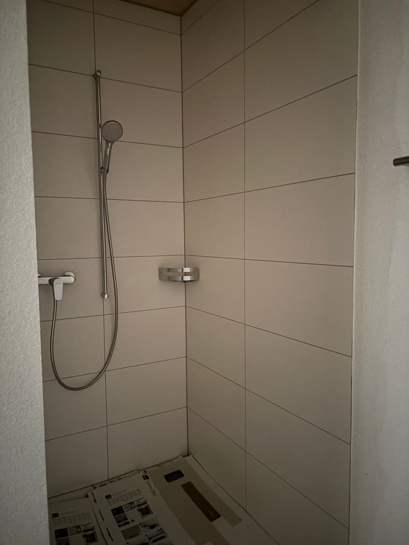 First-time rental - 2.5-room apartment in Kallnach (13)
