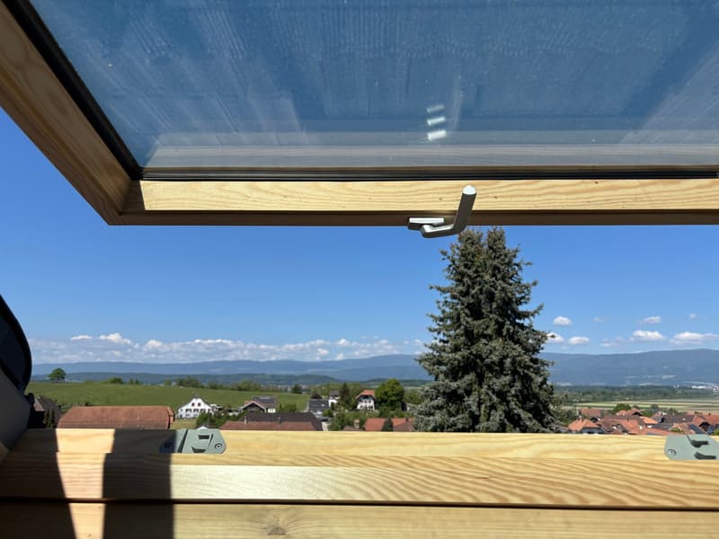 First-time rental - 2.5-room apartment in Kallnach (8)