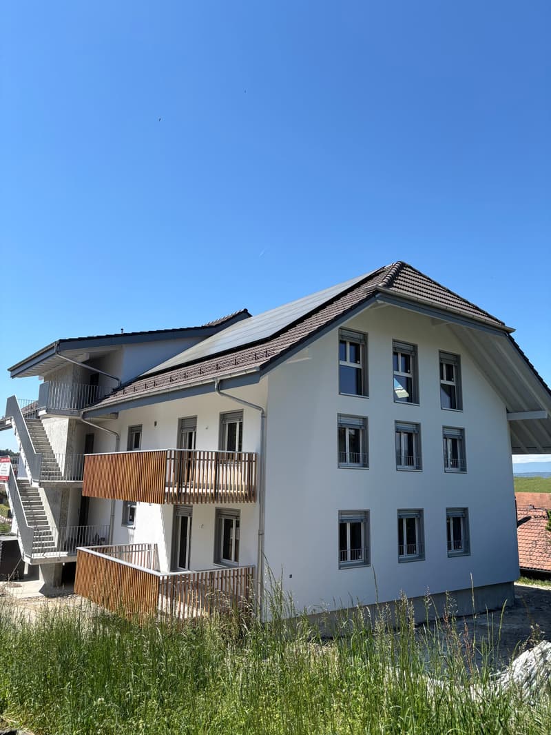 First-time rental - 2.5-room apartment in Kallnach (5)