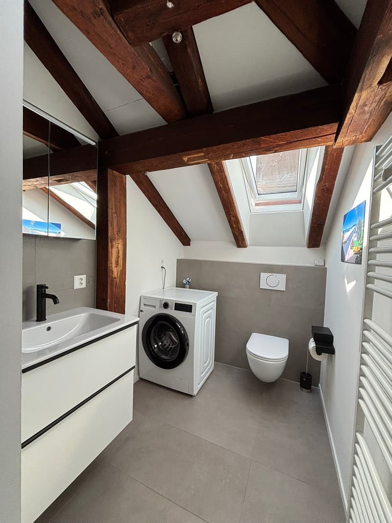 Incantevole appartamento loft di 2,5 locali nel popolare quartiere di Kirchenfeld (6)