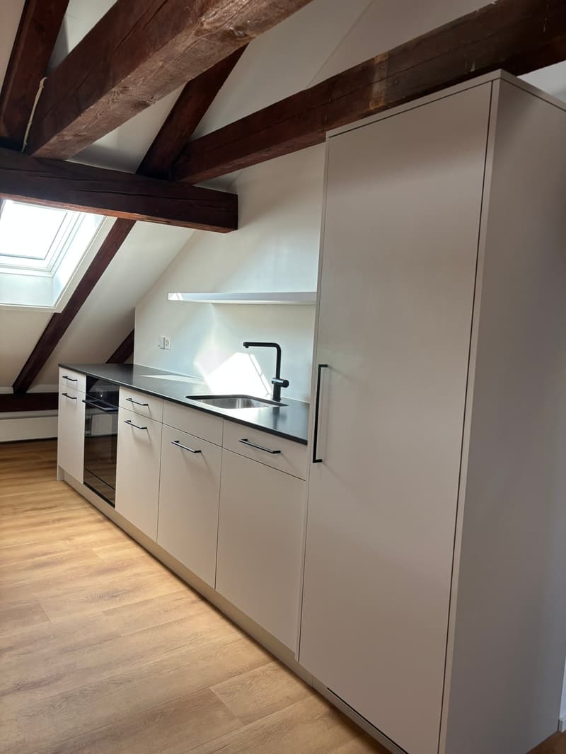 Incantevole appartamento loft di 2,5 locali nel popolare quartiere di Kirchenfeld (3)