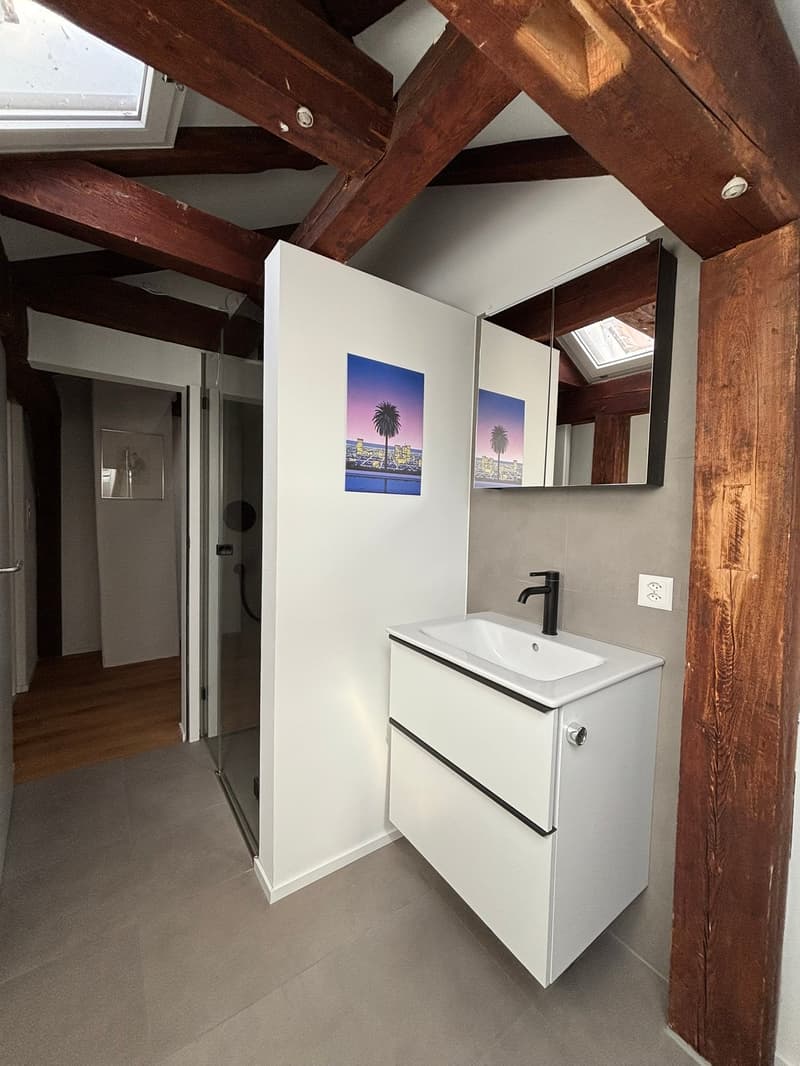 Incantevole appartamento loft di 2,5 locali nel popolare quartiere di Kirchenfeld (7)