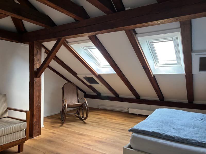 Incantevole appartamento loft di 2,5 locali nel popolare quartiere di Kirchenfeld (5)