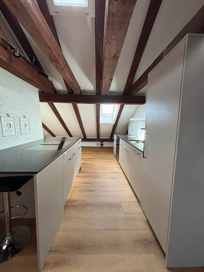 Incantevole appartamento-atelier di 2,5 locali nel quartiere popolare di Kirchenfeld (4)