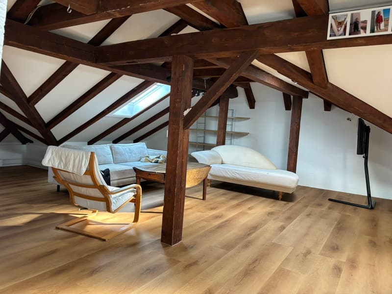 Incantevole appartamento-atelier di 2,5 locali nel quartiere popolare di Kirchenfeld (2)