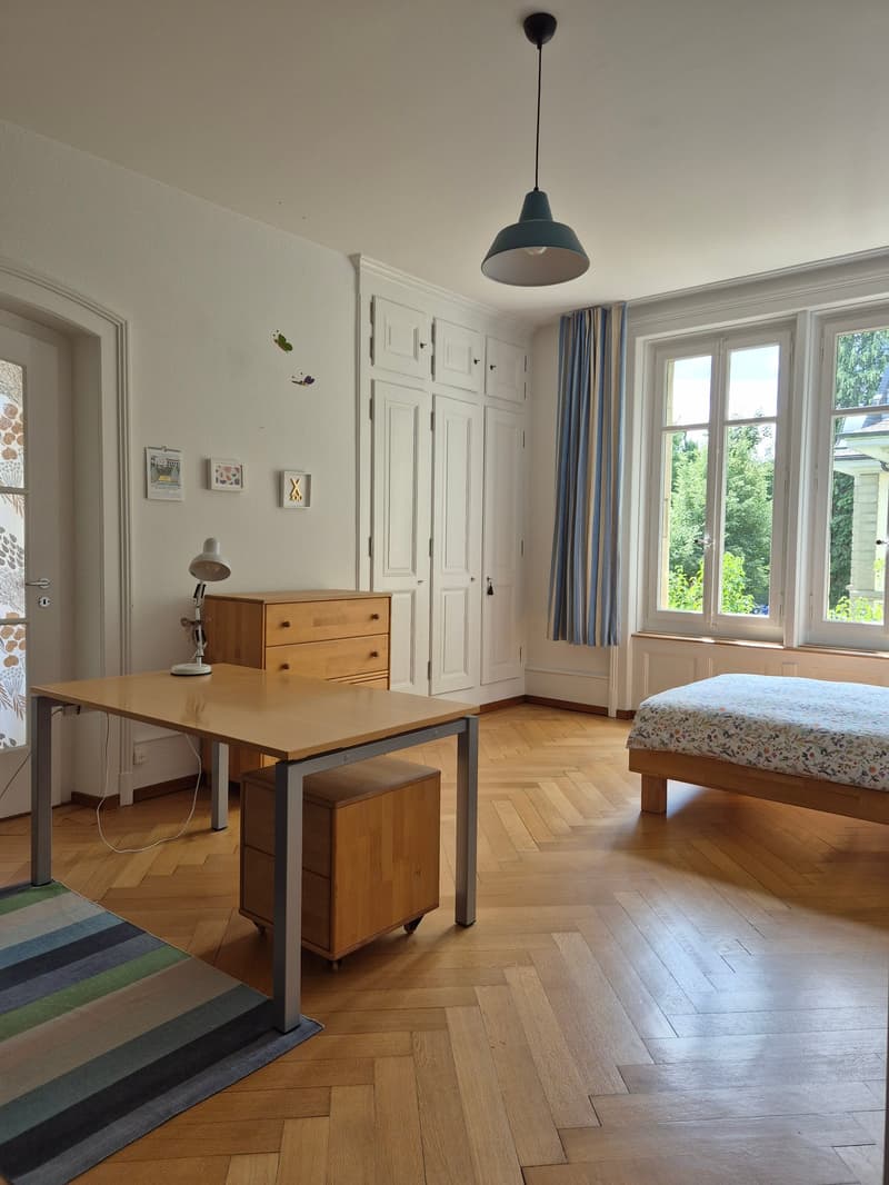 stilvolle 6-Zimmer-Altbauwohnung im beliebten Kirchenfeldquartier (5)