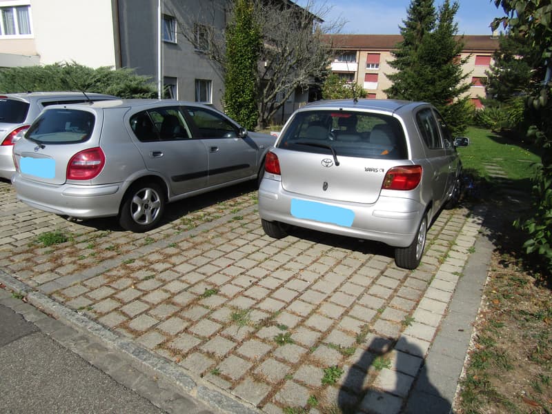1 Auto-Abstell-Platz in Muttenz nähe Altersheim zu vermieten (1)