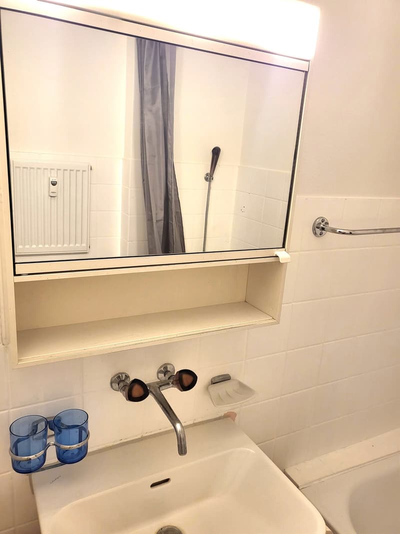Bathroom, mirror, shelf, sink, shower, bathtub, radiator, towel bar