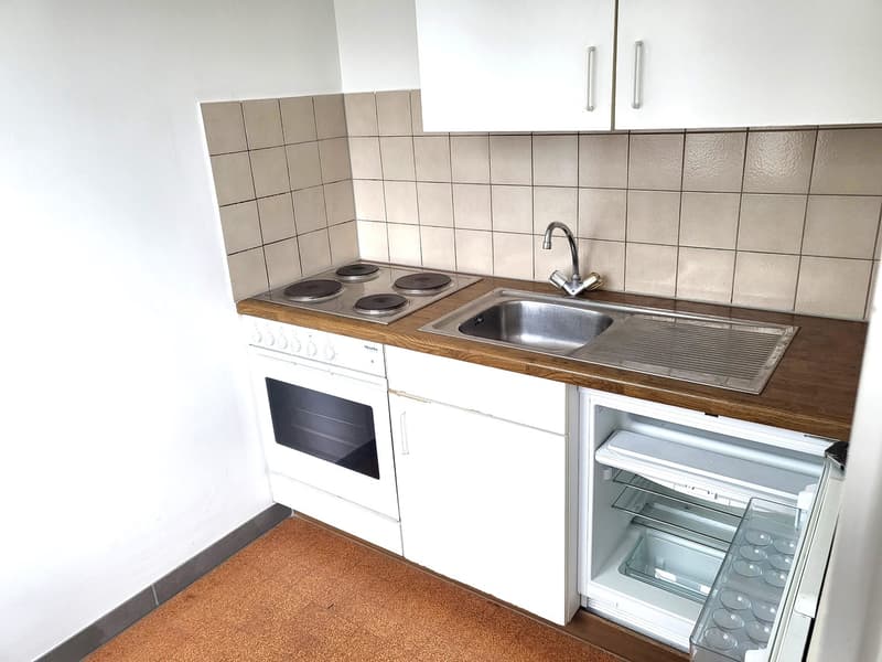 small kitchen with electric stove, oven, sink, and fridge
