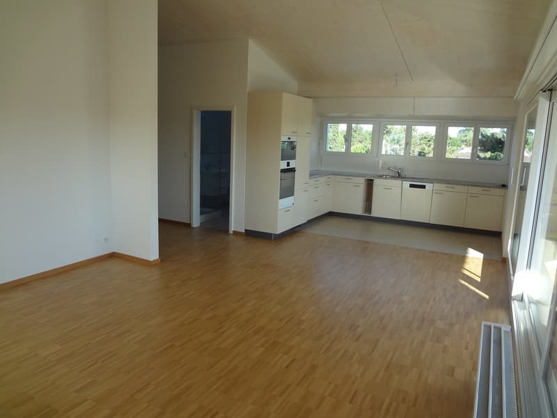 open kitchen, large windows, wooden floor, modern appliances, light walls
