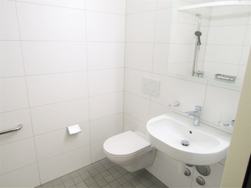 all white bathroom, white tiles, white sink, white toilet, white toilet paper holder, mirror, silver shower head
