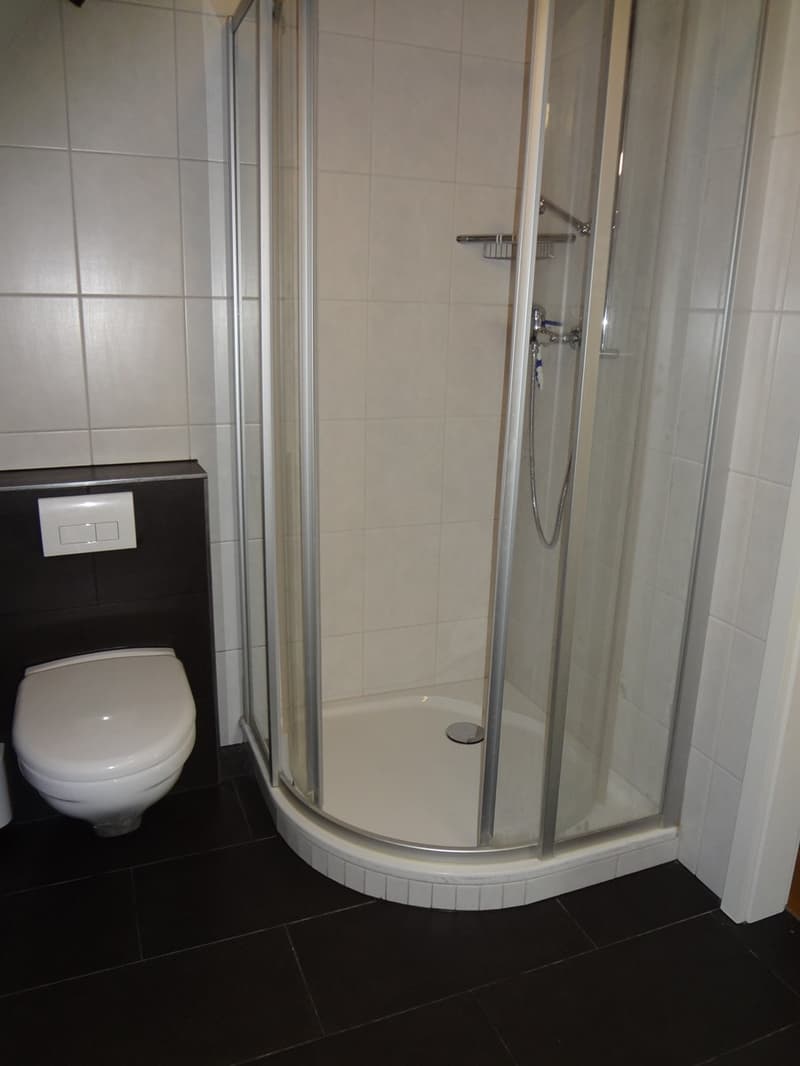 white tiles, glass enclosure, toilet, shower
