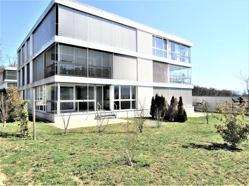 Ampio locale hobby con finestra di circa 21m2 a Biel-Benken (1)