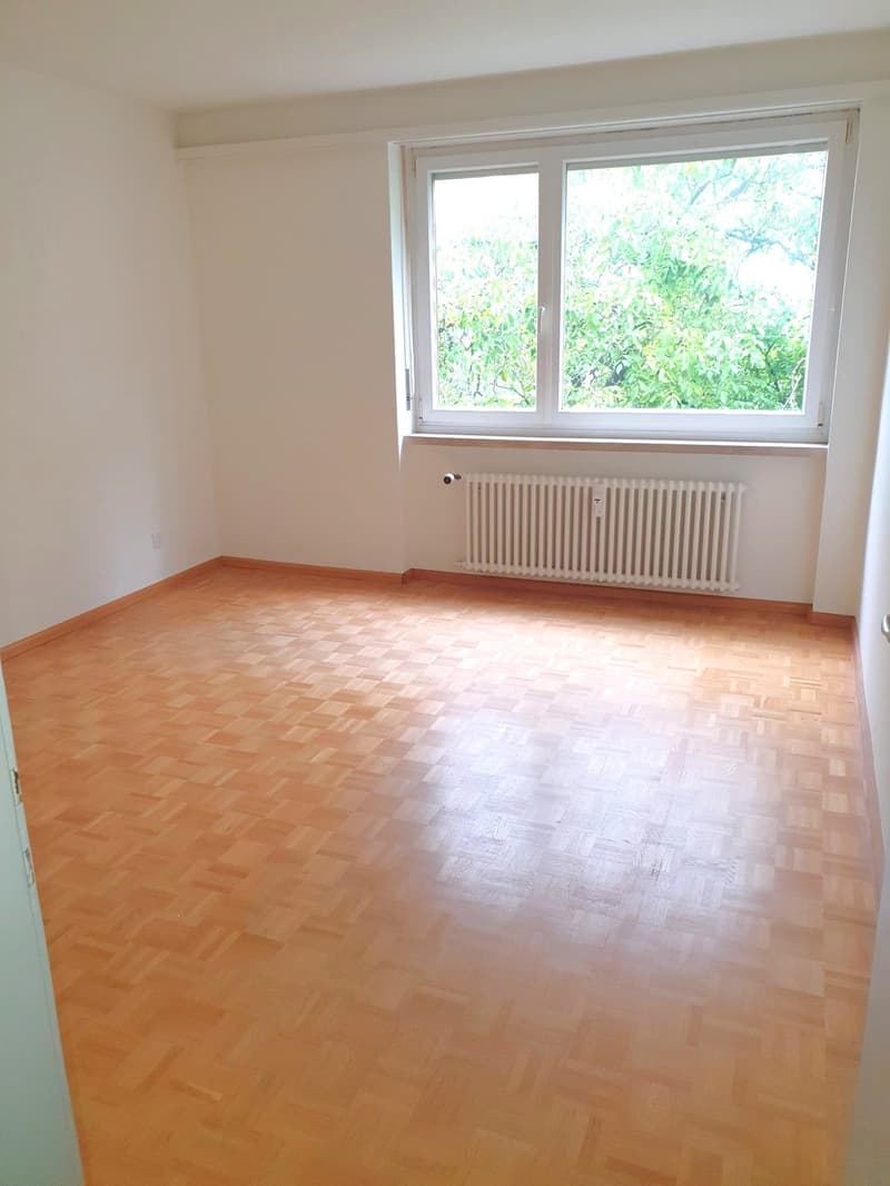 Wohn-Esszimmer