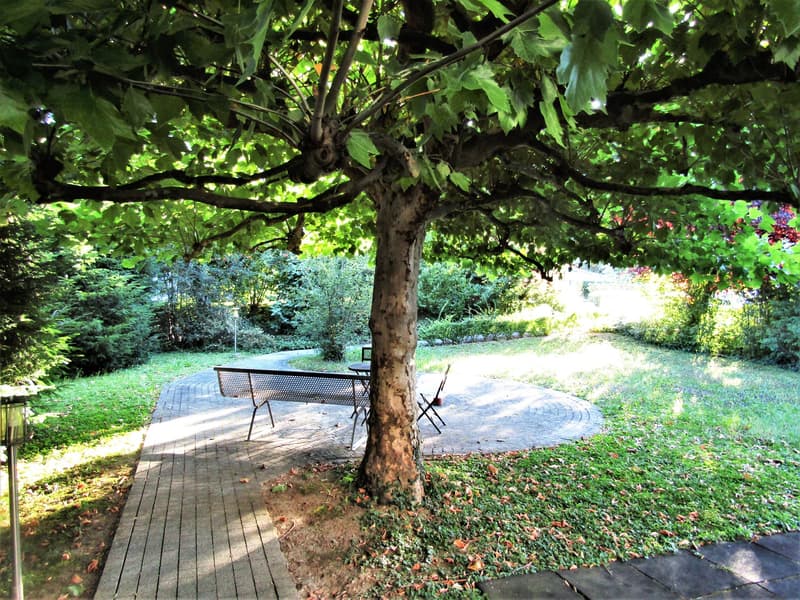 Garten/Spielplatz