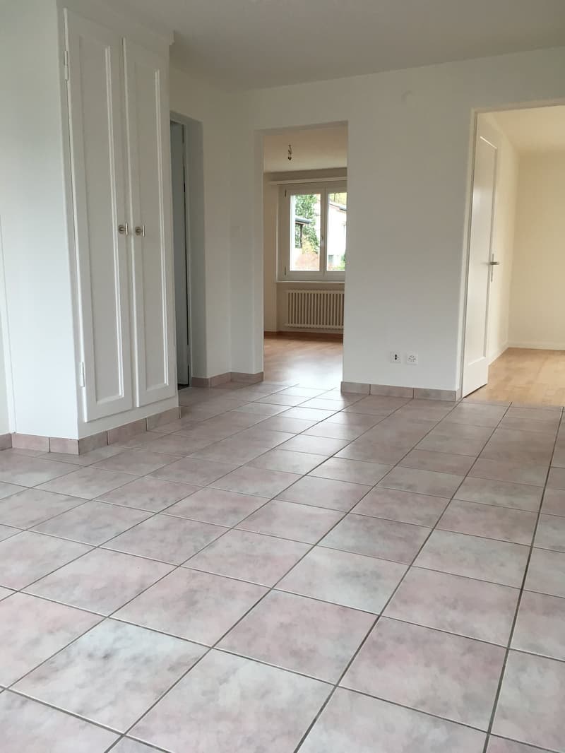 Empty room with white walls, wooden floor, white wardrobe, and tiled floor.