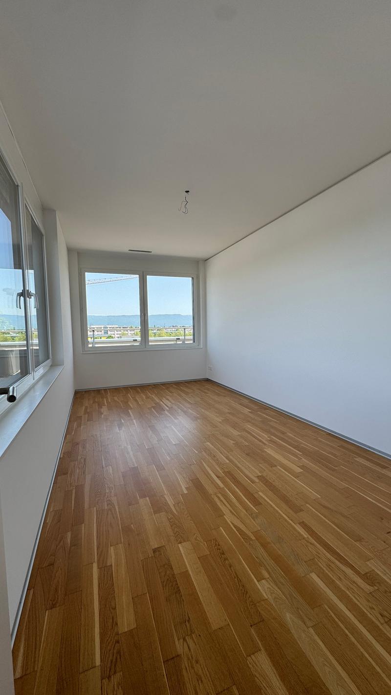 Hauswartwohnung in Attikageschoss (6)