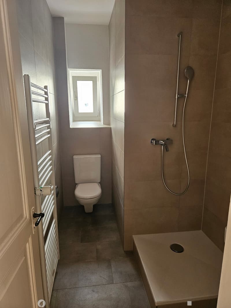 Charmante 3-Zimmer-Altbauwohnung mit Balkon in Biel/Bienne (6)