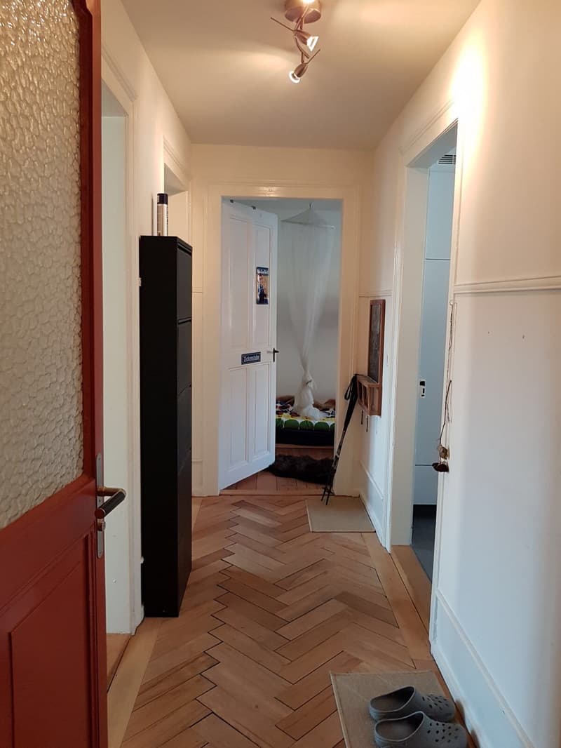 Schöne Altbauwohnung (5)