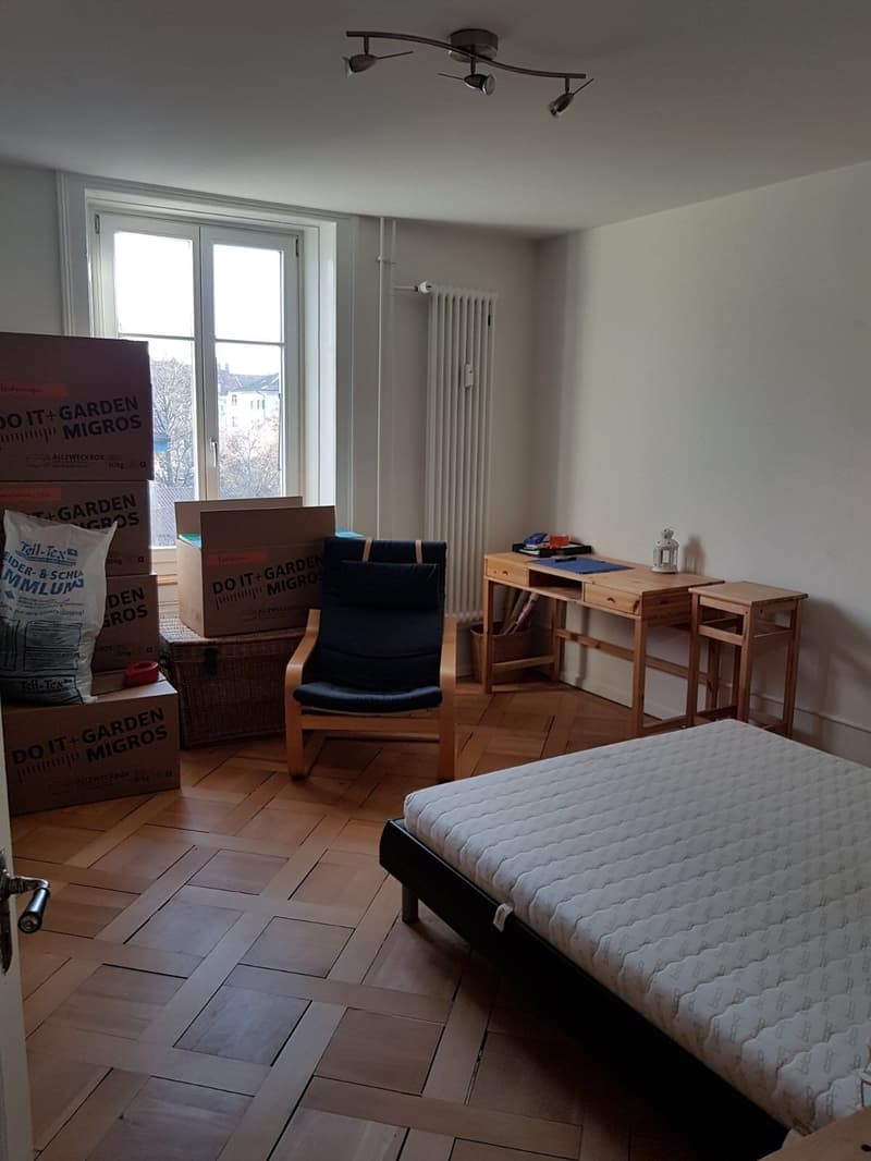 Schöne Altbauwohnung (3)