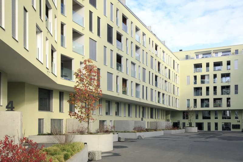 Magnifique logement en duplex à Fribourg (1)