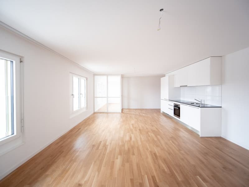 Spacious 4.5-room apartment in Fribourg! (4)