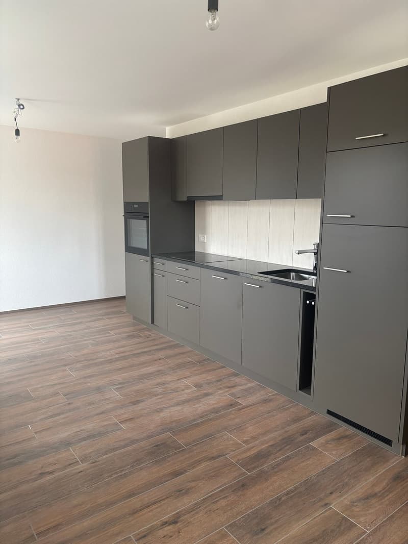 3 Zimmerwohnung zu vermieten (3)