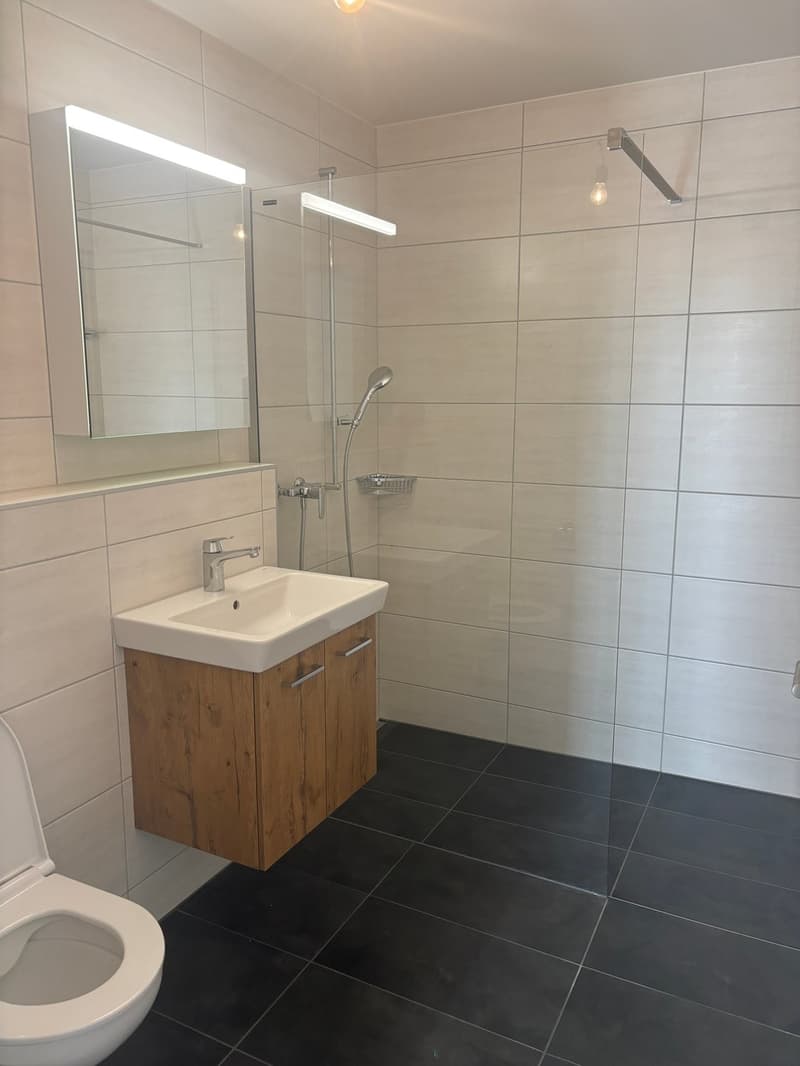 3 Zimmerwohnung zu vermieten (6)
