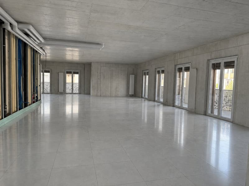 Administrative area of approx. 251.50 m2, adaptable to the tenant's wishes! (2)