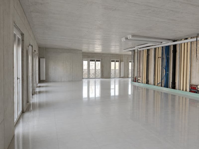 Administrative area of approx. 251.50 m2, adaptable to the tenant's wishes! (3)