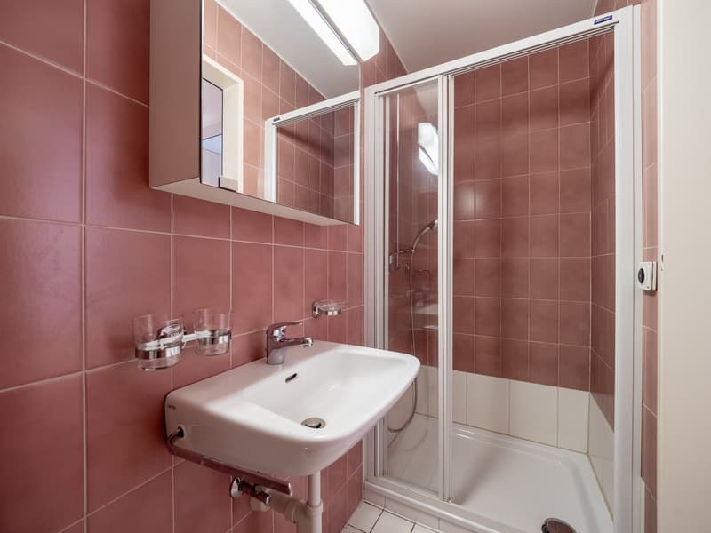 Wohnung mit 4.5 Zimmern im Zentrum von Freiburg! (9)