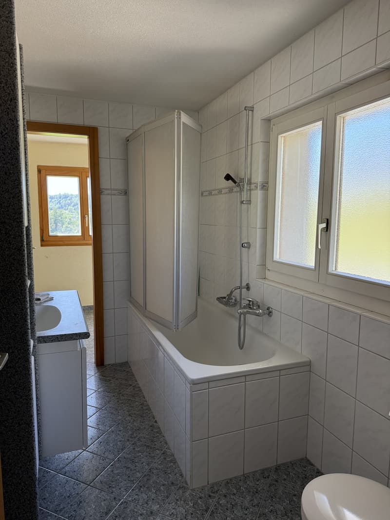 Wohnung mit 5.5 Zimmern zur Miete (10)