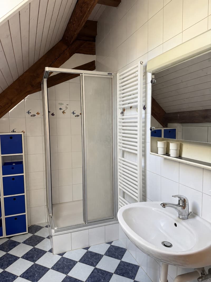 Wohnung mit 5.5 Zimmern zur Miete (11)