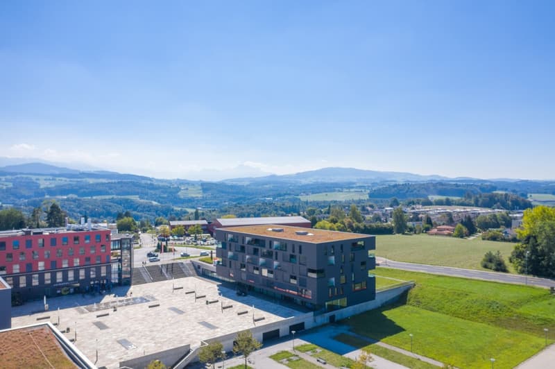Superficie commerciale di ca. 113 m2 in affitto (2)