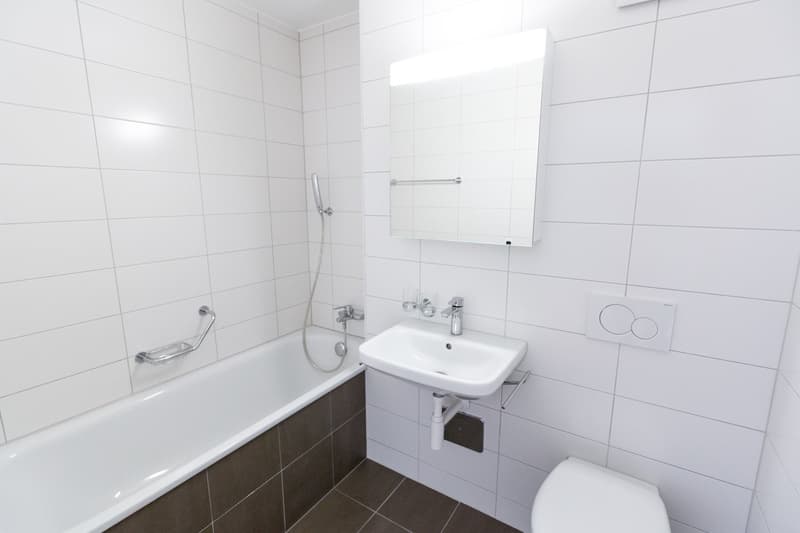 3.5 room apartment on the 3rd floor for rent! (7)