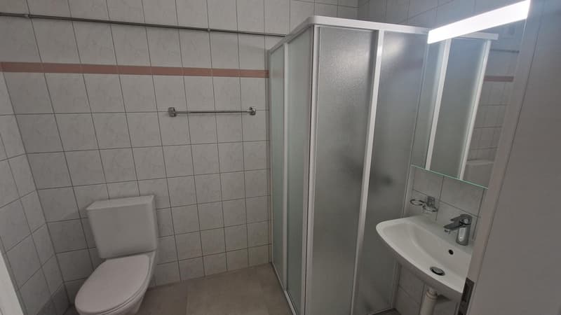 Wohnung mit 4.5 Zimmern im 3. Stock (7)