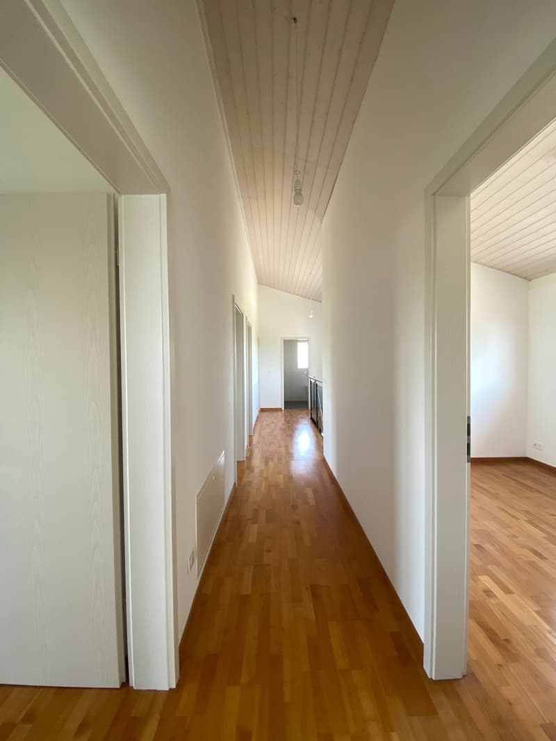 Villa indipendente di 7,5 locali con ampi spazi esterni (5)