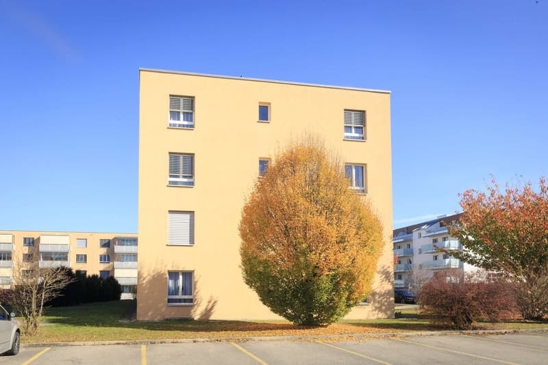 Appartamento di 4.5 locali al 2° piano (3)