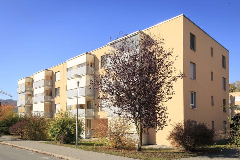 Appartamento di 4.5 locali al 2° piano (1)