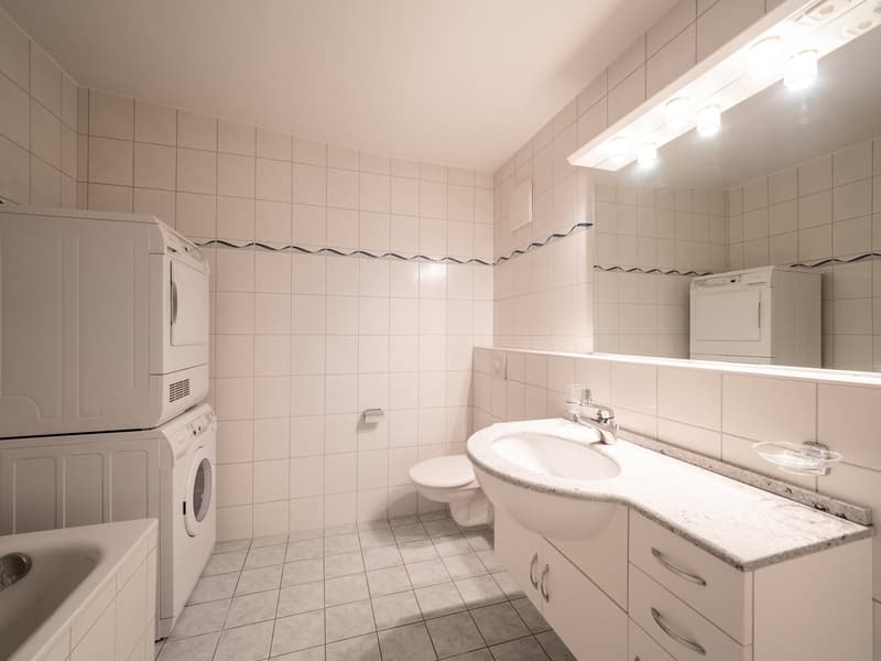 4.5 room apartment on the 5th attic floor (5)