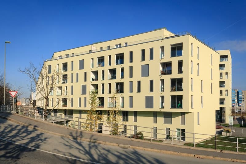 3.5-room apartment on the 5th floor with two loggias (3)