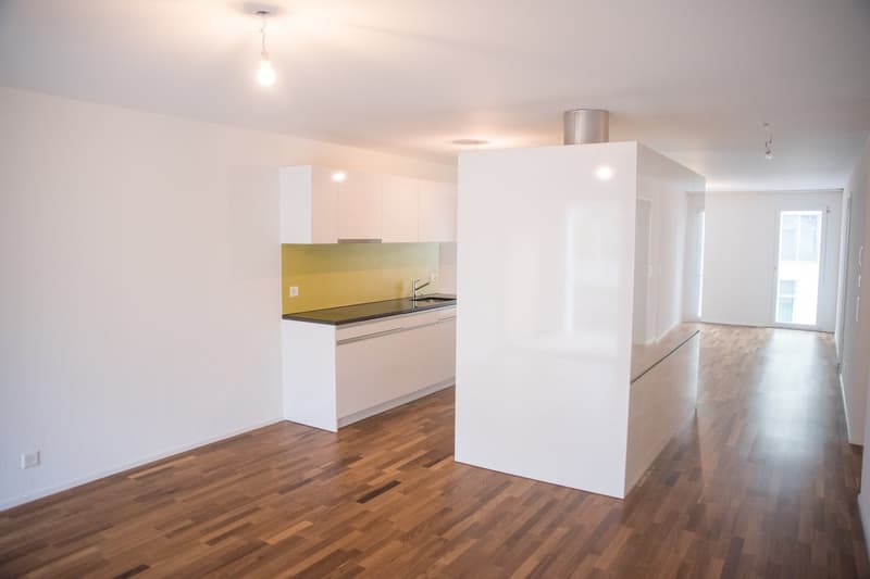3.5-room apartment on the 5th floor with two loggias (8)