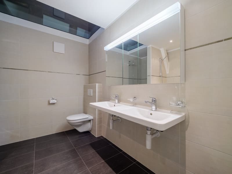 Grand appartement loft mansardé dans le Schlössli Sensebrück (6)