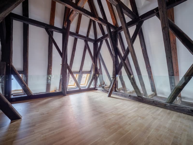 Grand appartement loft mansardé dans le Schlössli Sensebrück (4)