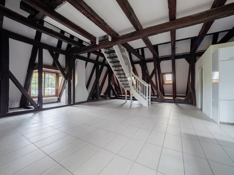 Grosse-Loft-Dach-Wohnung im Schlössli Sensebrück (3)