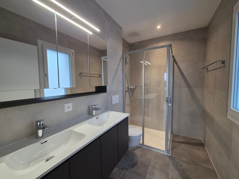 Villa neuve de 4.5 pièces à louer! (8)