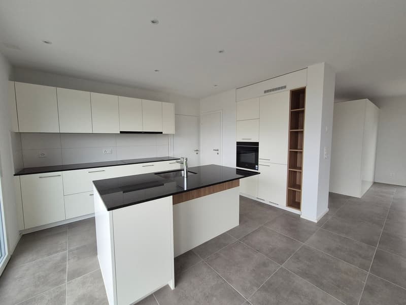Villa neuve de 4.5 pièces à louer! (3)