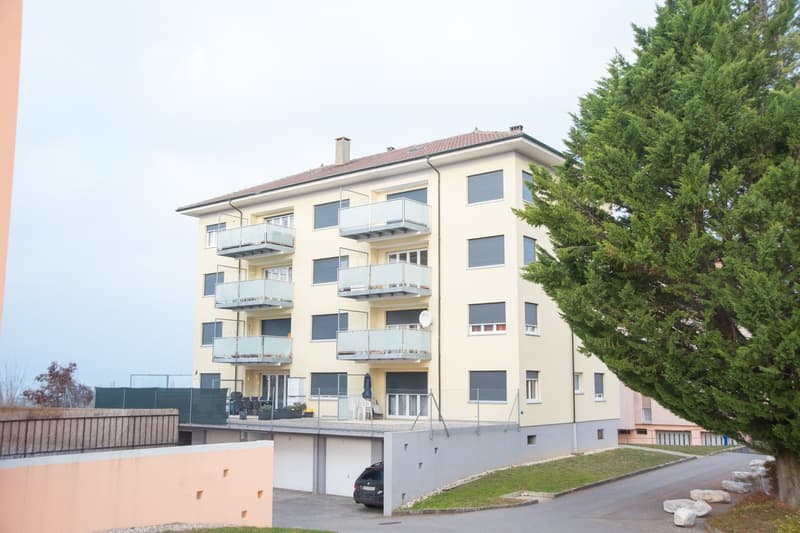 Appartement de 3.5 pièces entièrement rénové à louer (1)